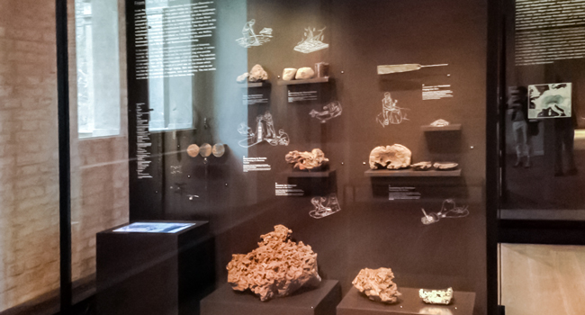 Showcase with Iron Age findings in the new exhibition at “Neues Museum” | Photo: Nina Diezemann