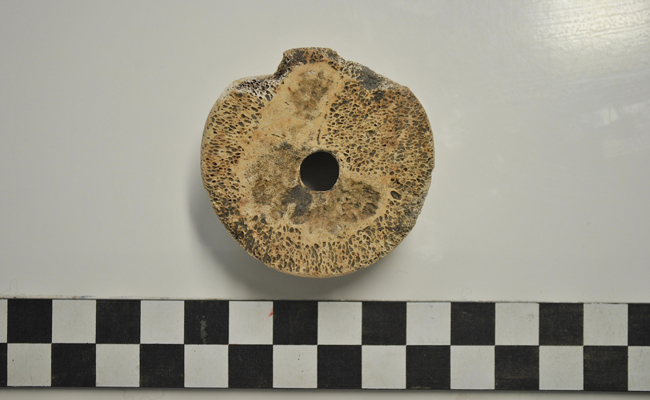 Fig. 2. Bone spindle-whorl (4th millennium BC).  Ana Grabundzija/ © Ana Grabundzija
